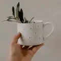 Šálka Calma Elegance